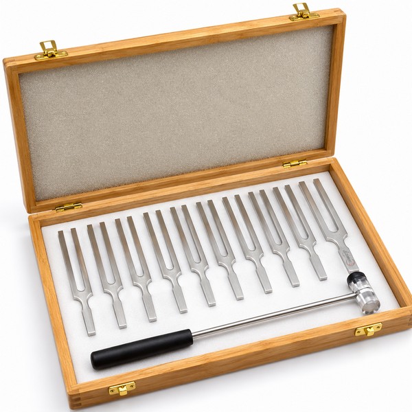 Tuning Fork Set